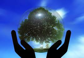 Global Citizenship Courses for the 21st Century Picture